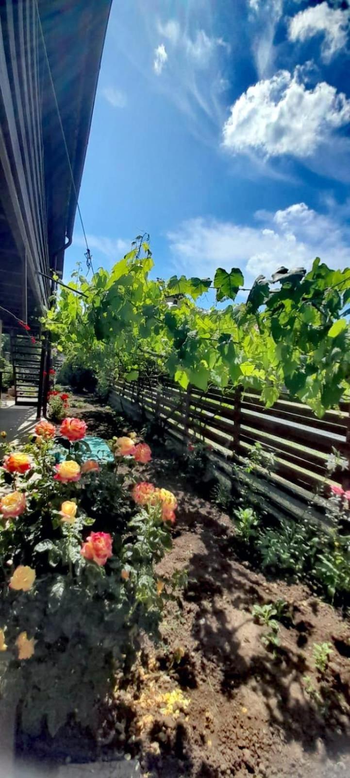 Casa Calin Apartment วามาเวเก ภายนอก รูปภาพ